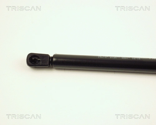 Gas Spring, boot/cargo area