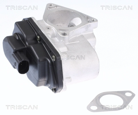 EGR Valve (8813 29003)