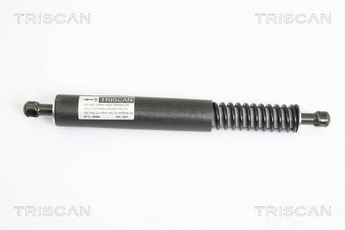Gas Spring, boot/cargo area (8710 29264)