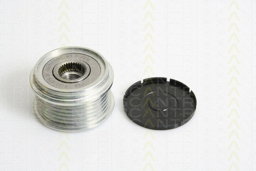 Alternator Freewheel Clutch (8641 274003)