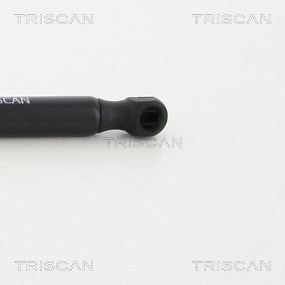 Gas Spring, boot/cargo area