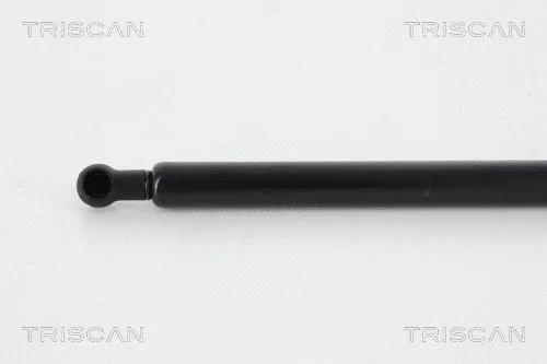 Gas Spring, boot/cargo area