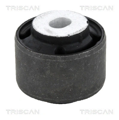 Mounting, control/trailing arm (8500 10845)