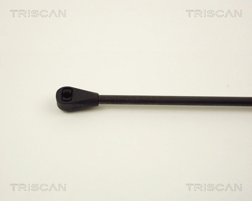 Gas Spring, boot/cargo area