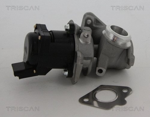 EGR Valve (8813 10010)