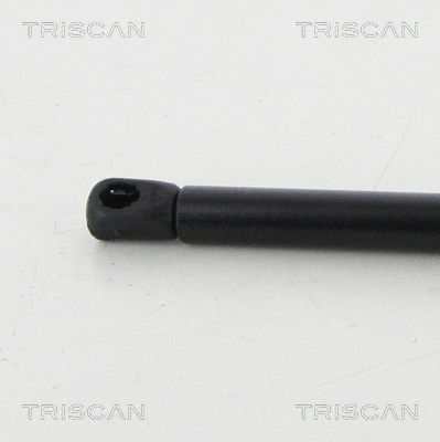 Gas Spring, boot/cargo area
