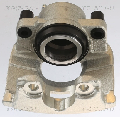 Brake Caliper (8175 10111)