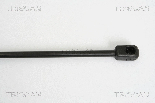 Gas Spring, boot/cargo area