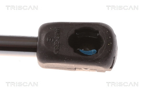 Gas Spring, bonnet