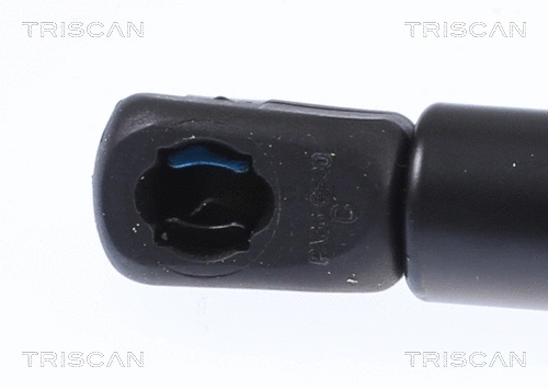Gas Spring, bonnet