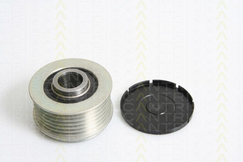 Alternator Freewheel Clutch (8641 504002)