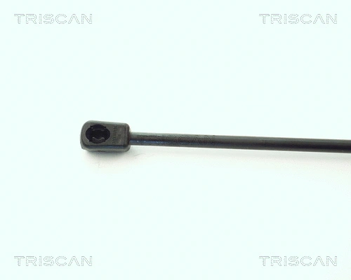 Gas Spring, boot/cargo area