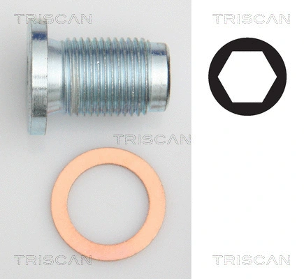 Screw Plug, oil sump (9500 1014)