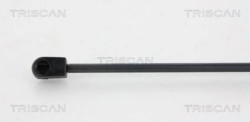 Gas Spring, boot/cargo area