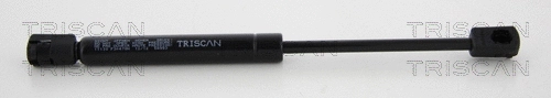Gas Spring, bonnet (8710 11130)