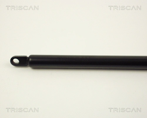 Gas Spring, boot/cargo area