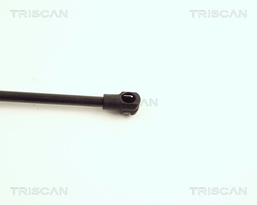Gas Spring, boot/cargo area