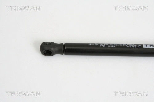 Gas Spring, boot/cargo area