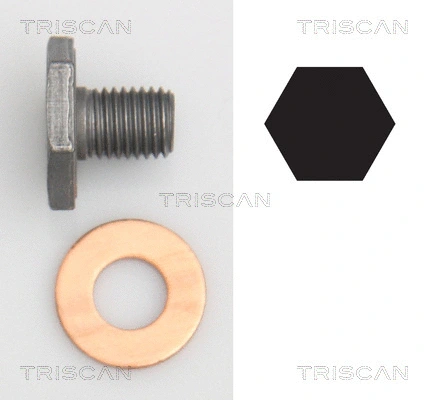Screw Plug, oil sump (9500 1010)