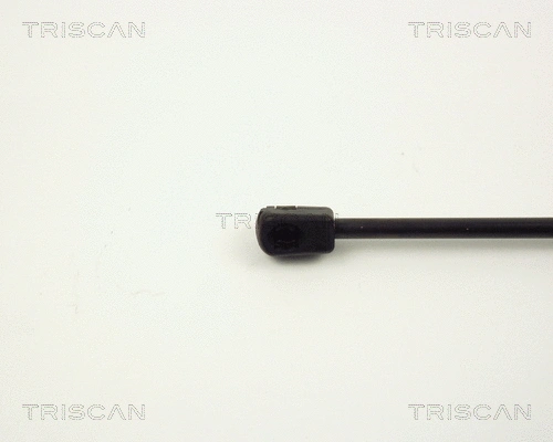 Gas Spring, boot/cargo area