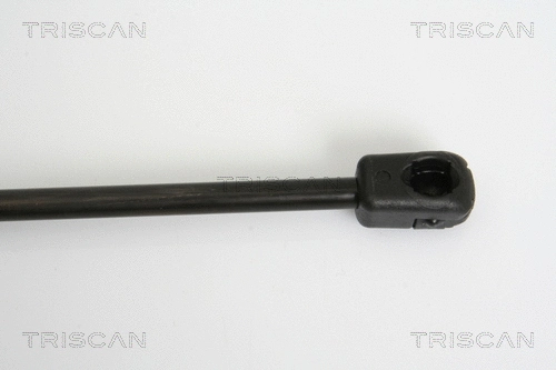 Gas Spring, boot/cargo area