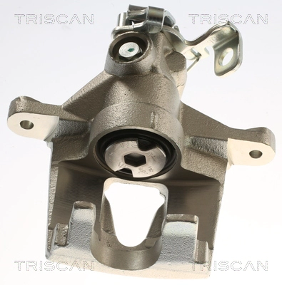 Brake Caliper (8175 25213)