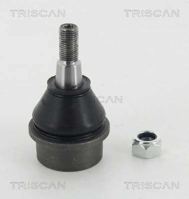Ball Joint (8500 80520)