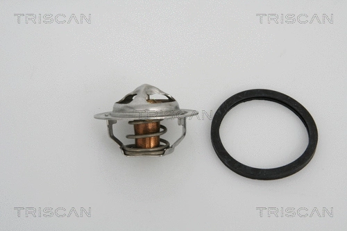 Thermostat, coolant (8620 13891)