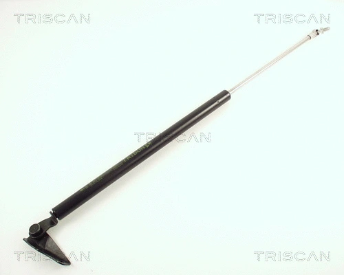 Gas Spring, boot/cargo area (8710 41205)