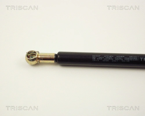 Gas Spring, boot/cargo area