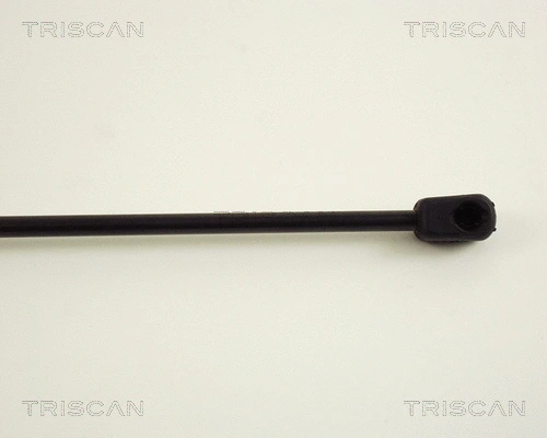 Gas Spring, boot/cargo area