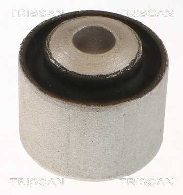 Mounting, control/trailing arm (8500 238030)