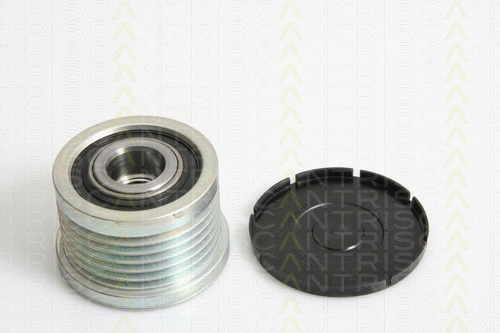 Alternator Freewheel Clutch (8641 254002)