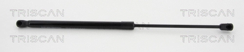 Gas Spring, boot/cargo area (8710 38234)