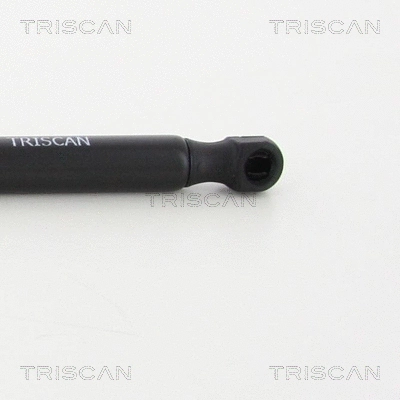 Gas Spring, boot/cargo area