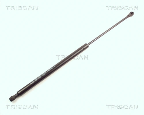 Gas Spring, boot/cargo area (8710 17210)