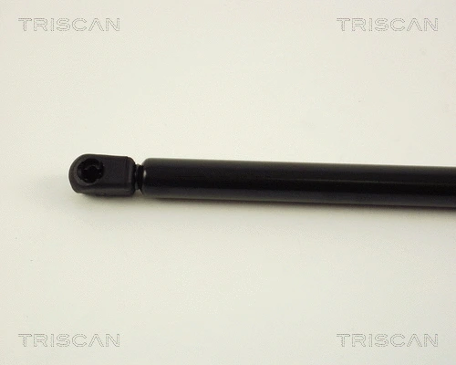 Gas Spring, boot/cargo area