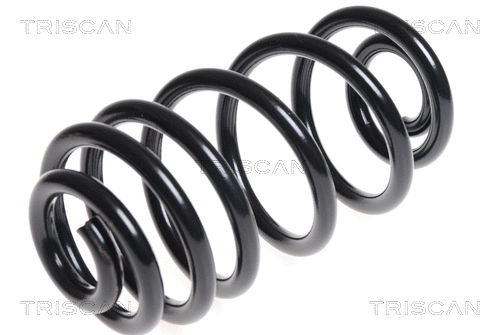 Suspension Spring (8750 24165)