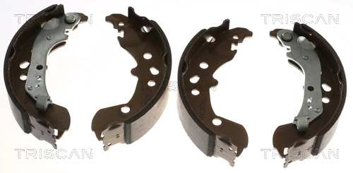 Brake Shoe Set (8100 29006)