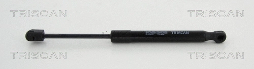 Gas Spring, boot/cargo area (8710 10216)