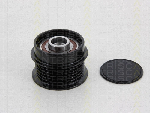 Alternator Freewheel Clutch (8641 244008)