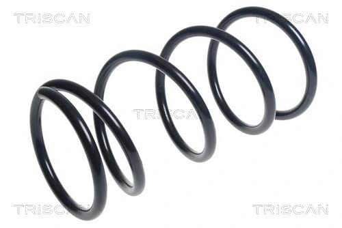 Suspension Spring (8750 42104)