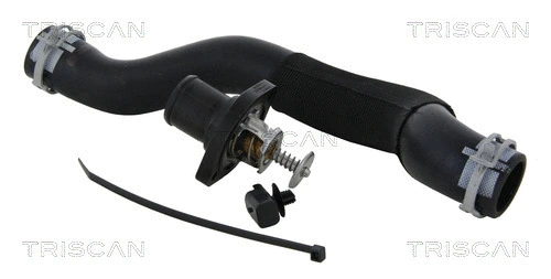 Thermostat, coolant (8620 39989)