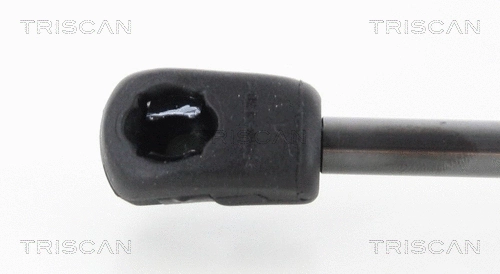 Gas Spring, boot/cargo area