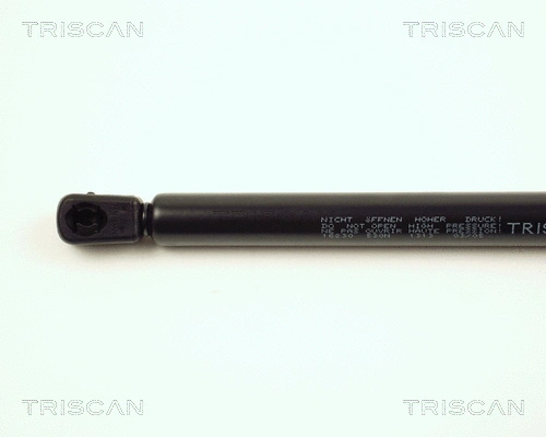 Gas Spring, boot/cargo area
