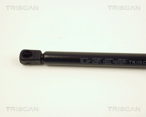 Gas Spring, boot/cargo area