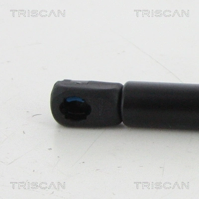 Gas Spring, boot/cargo area