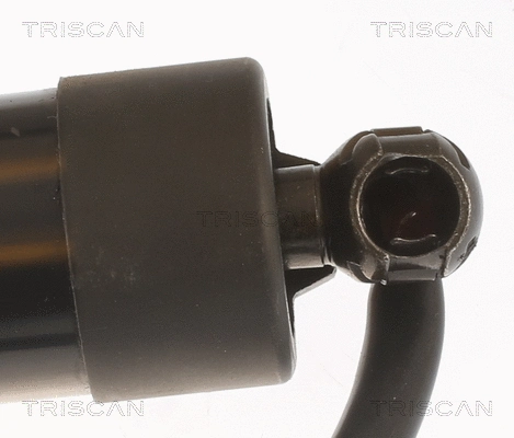 Gas Spring, boot/cargo area