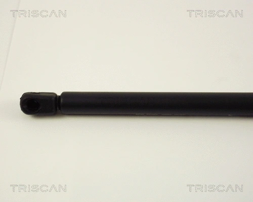 Gas Spring, boot/cargo area