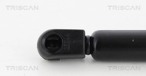 Gas Spring, boot/cargo area
